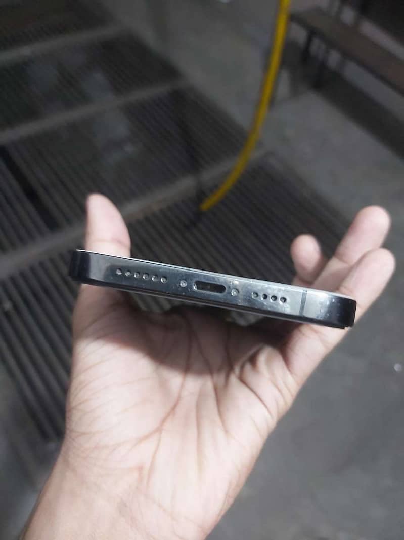 12 pro max 1