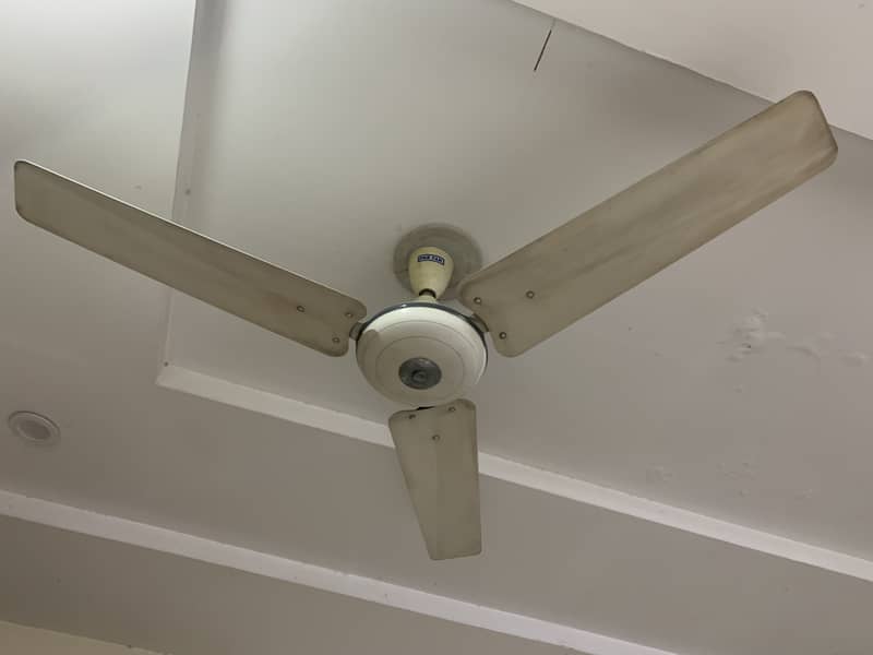 Pak Fan 1