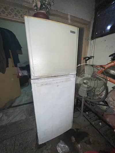 Orient fridge