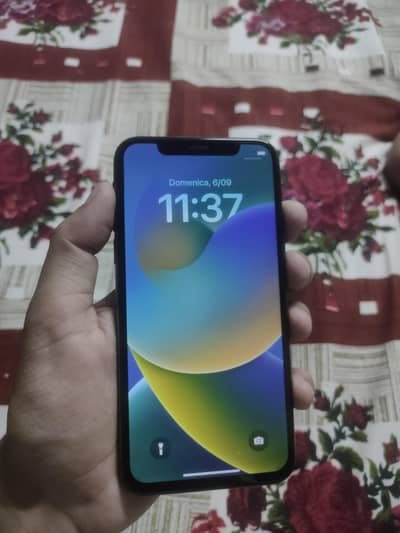 Apple iPhone X