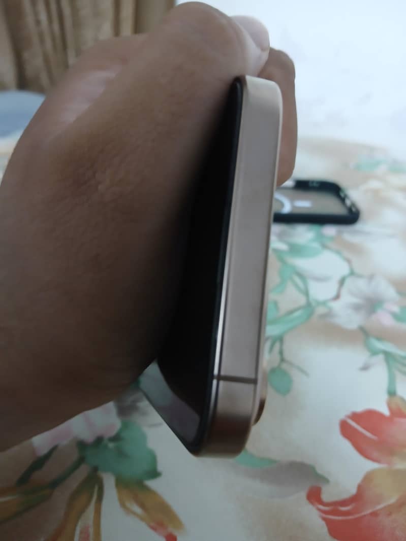 Apple iPhone 16 Pro Max 2