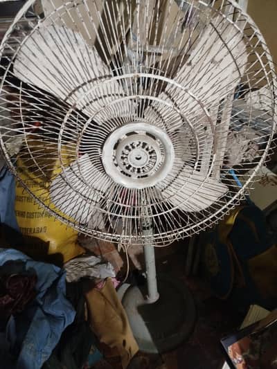 pedestal fan | Table Fan for sale