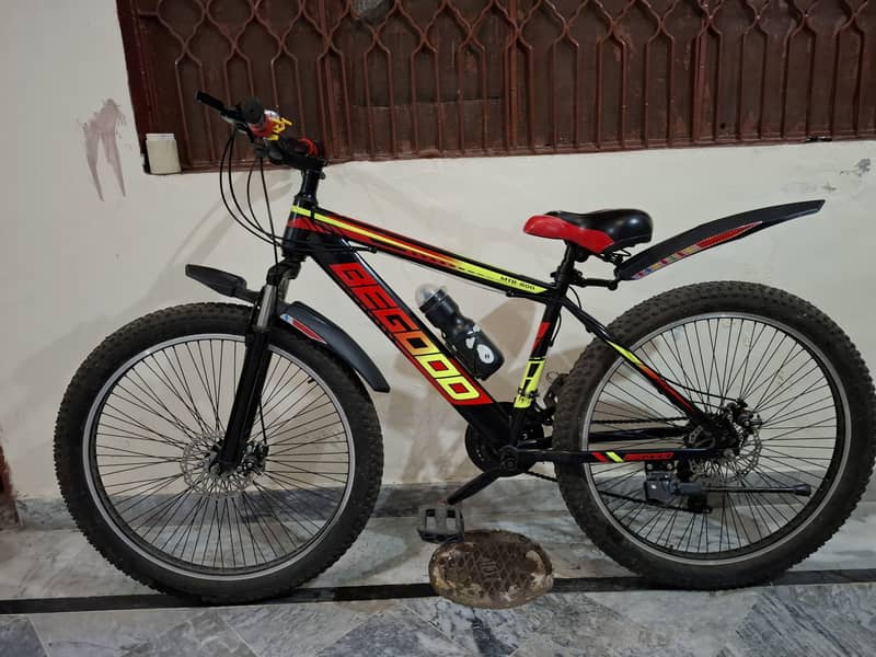 Big bicycle 1