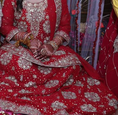 Skirt Lehenga choli