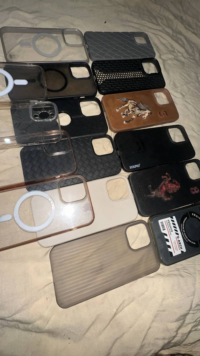 13 pro max cases 1