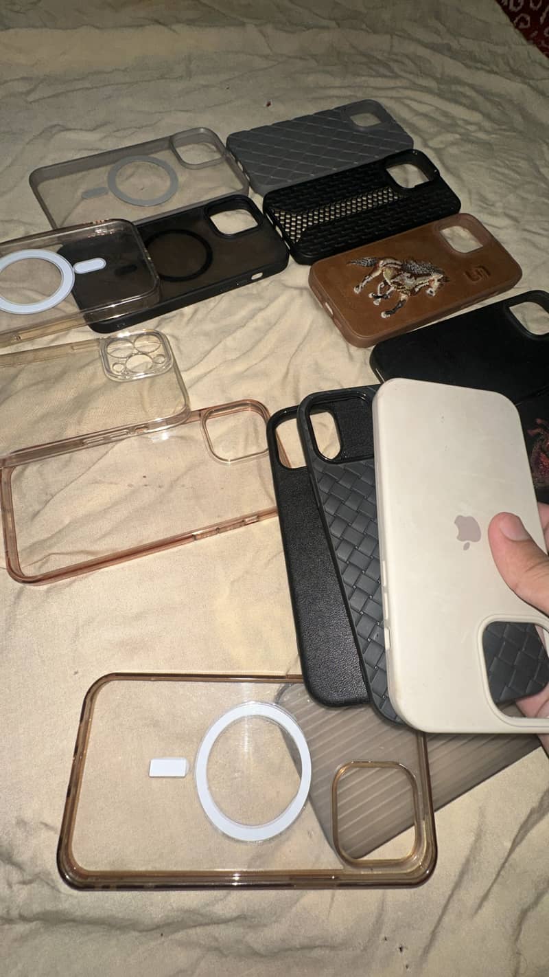13 pro max cases 2