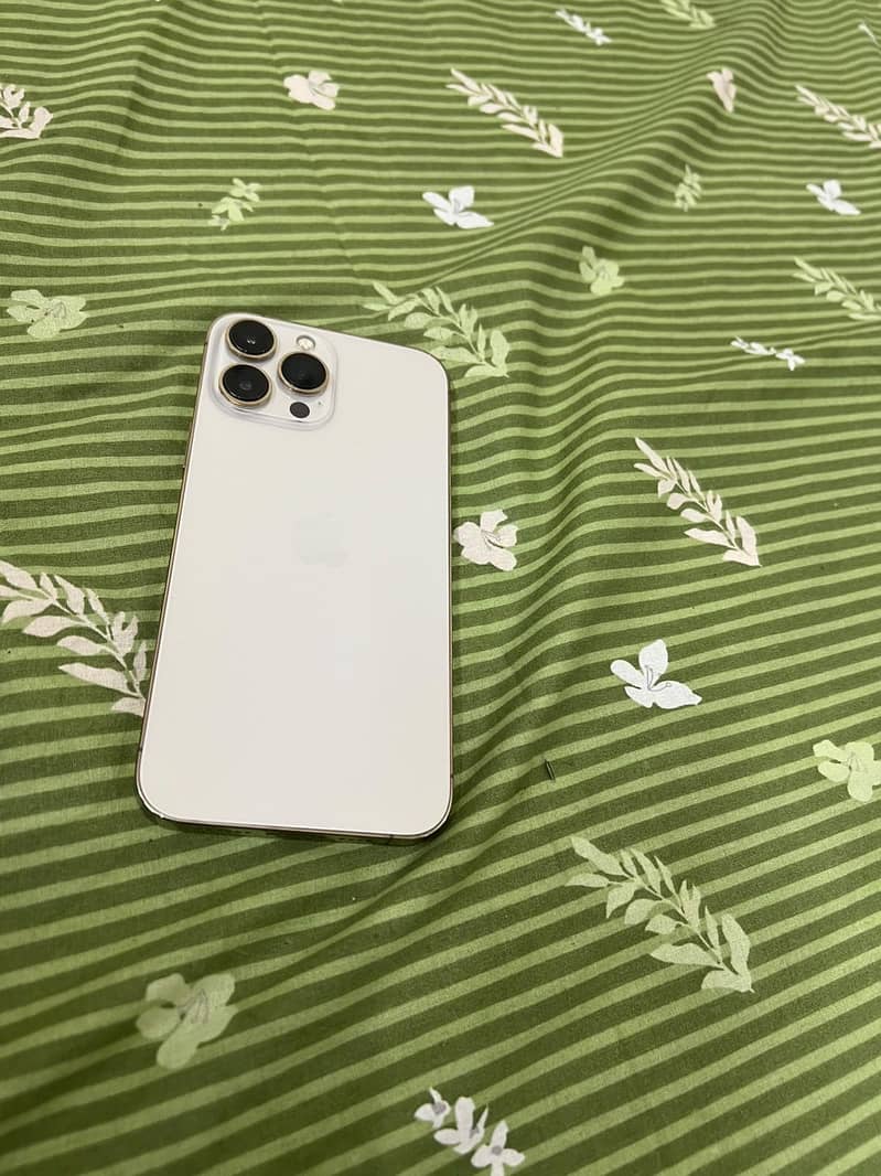 Apple iPhone 13 Pro Max 1