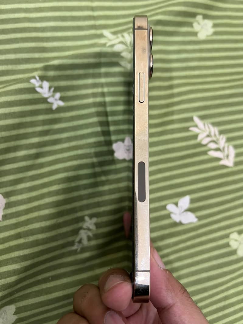 Apple iPhone 13 Pro Max 2