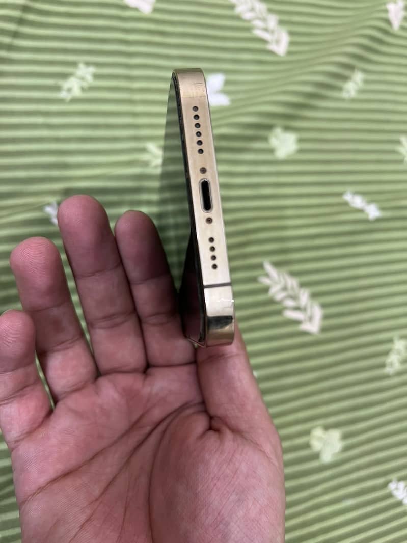 Apple iPhone 13 Pro Max 4