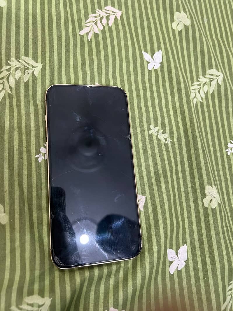 Apple iPhone 13 Pro Max 5