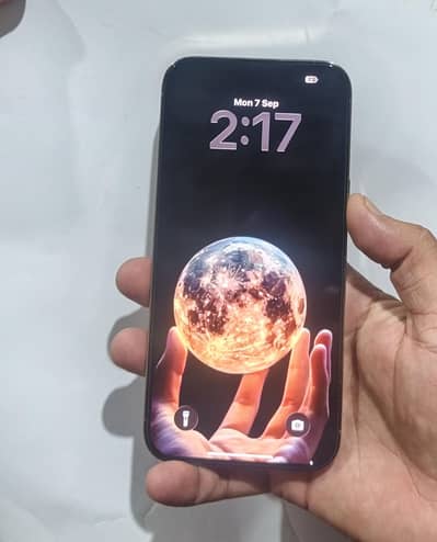 Apple iPhone 14 Pro Max