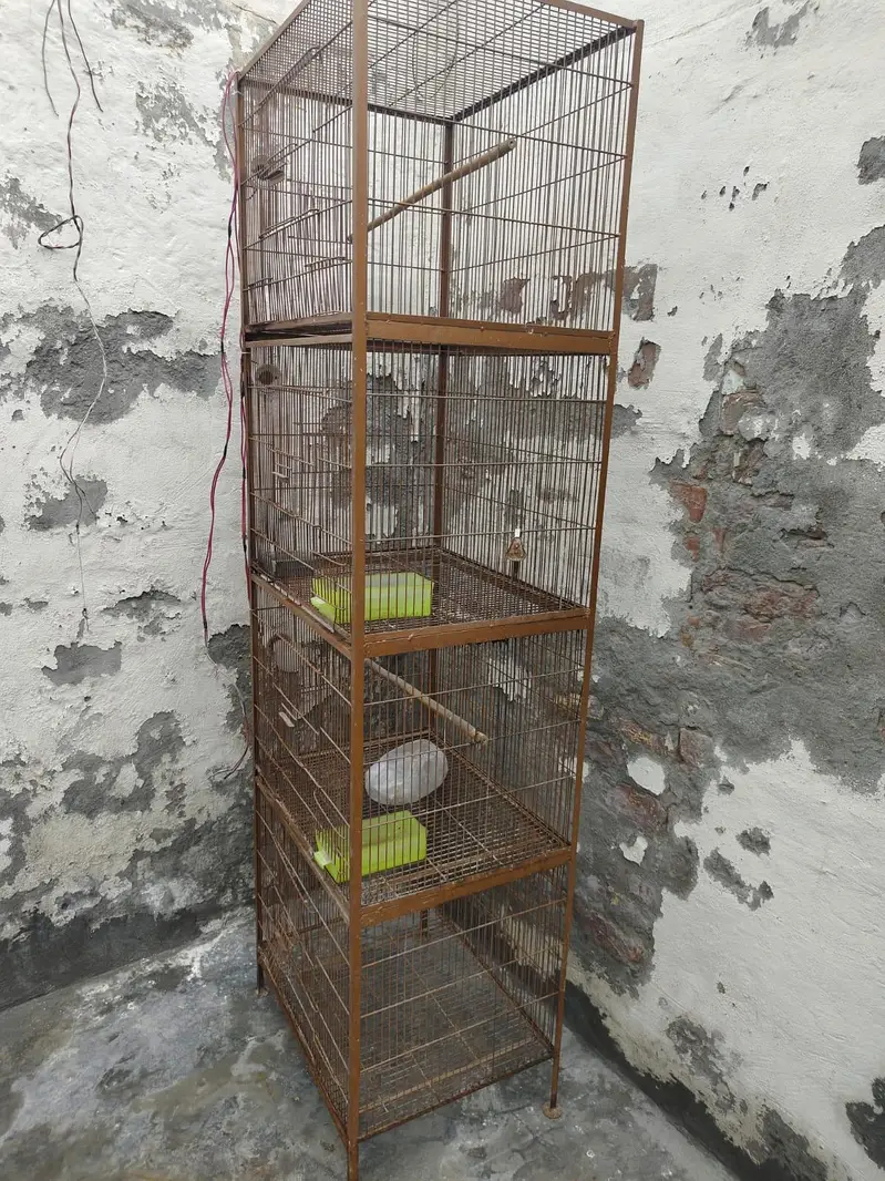 cage for sale