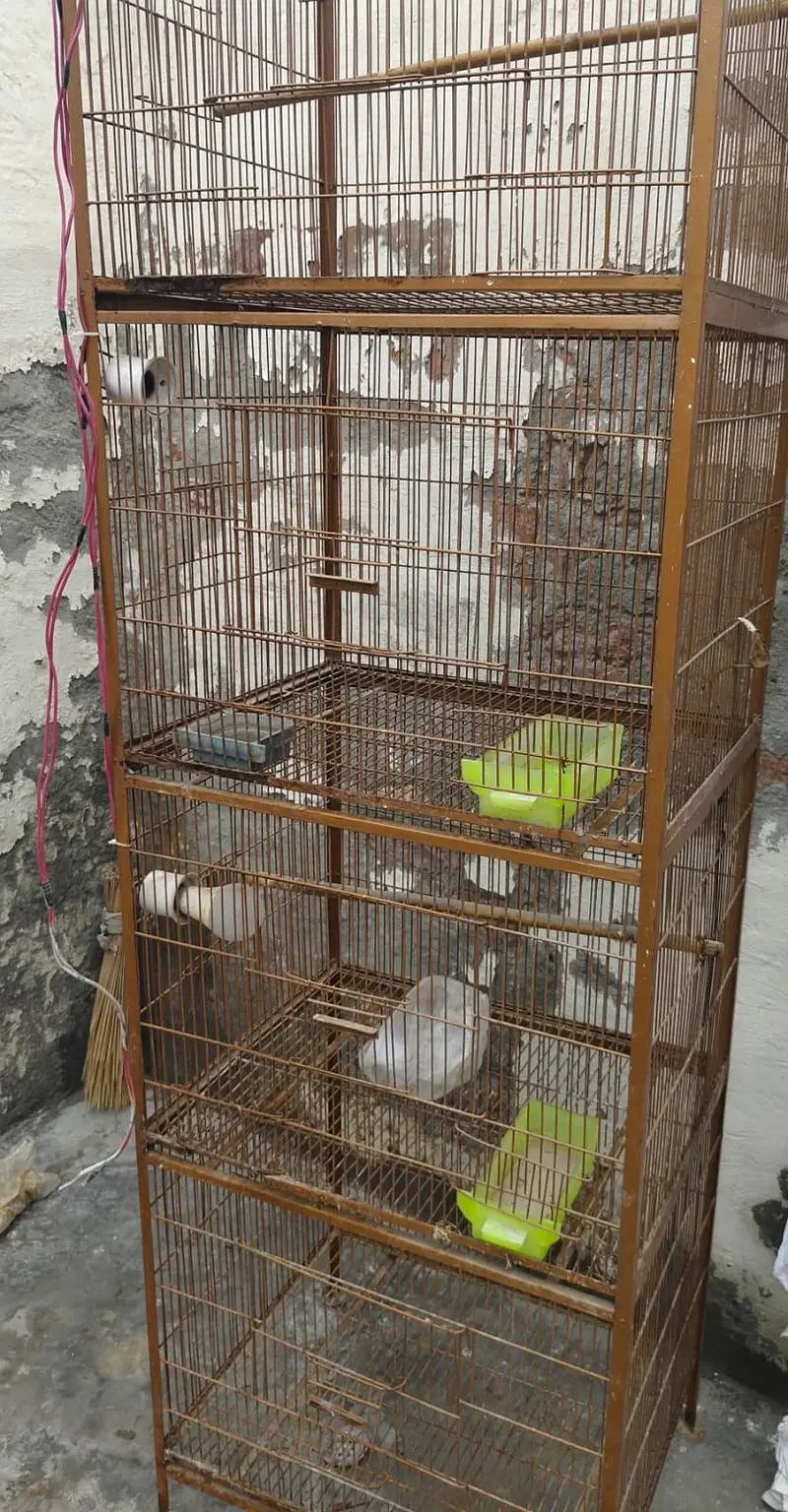 cage for sale — photo 2