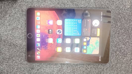 I pad mini 5