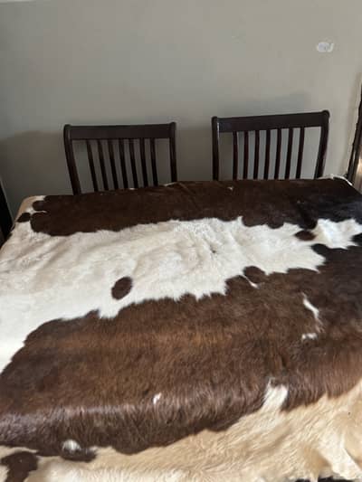 Brazil cow rug brown and white