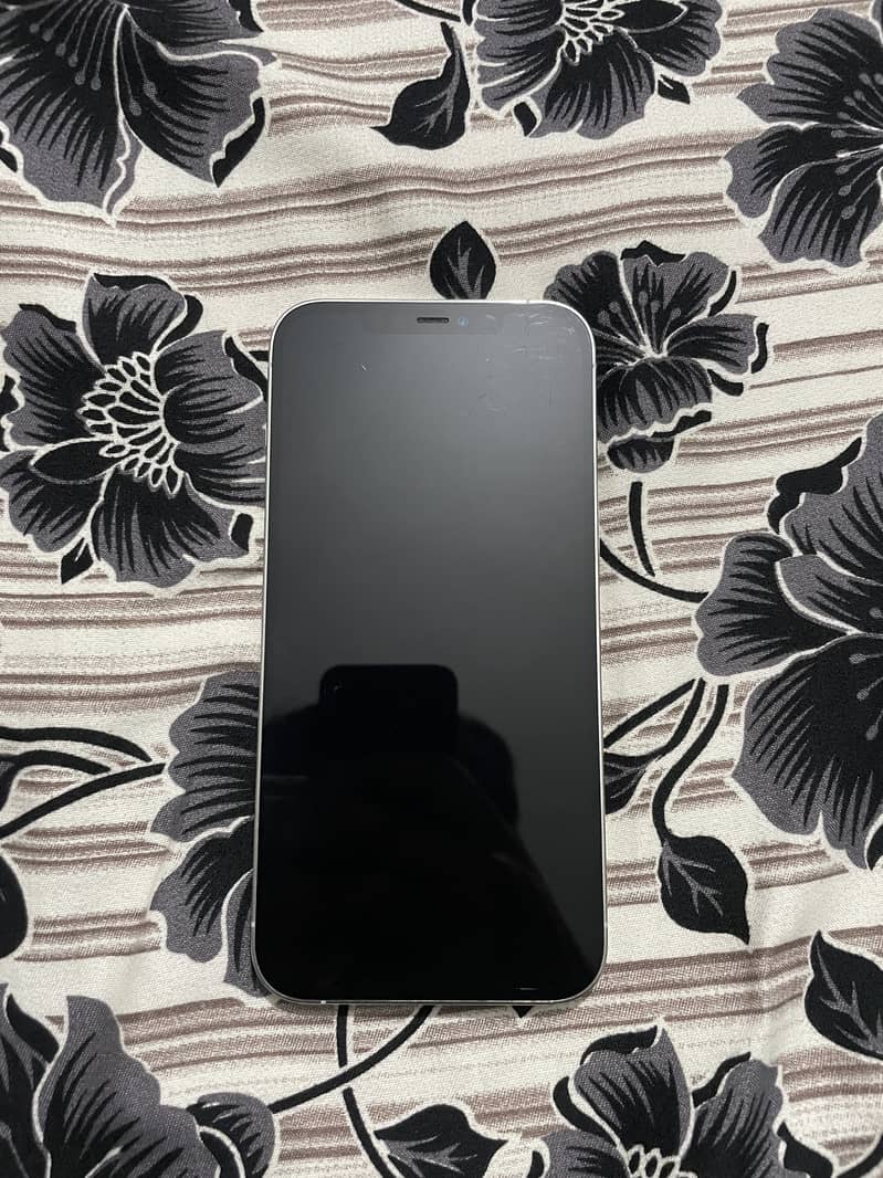 Apple iPhone 12 Pro Max 2