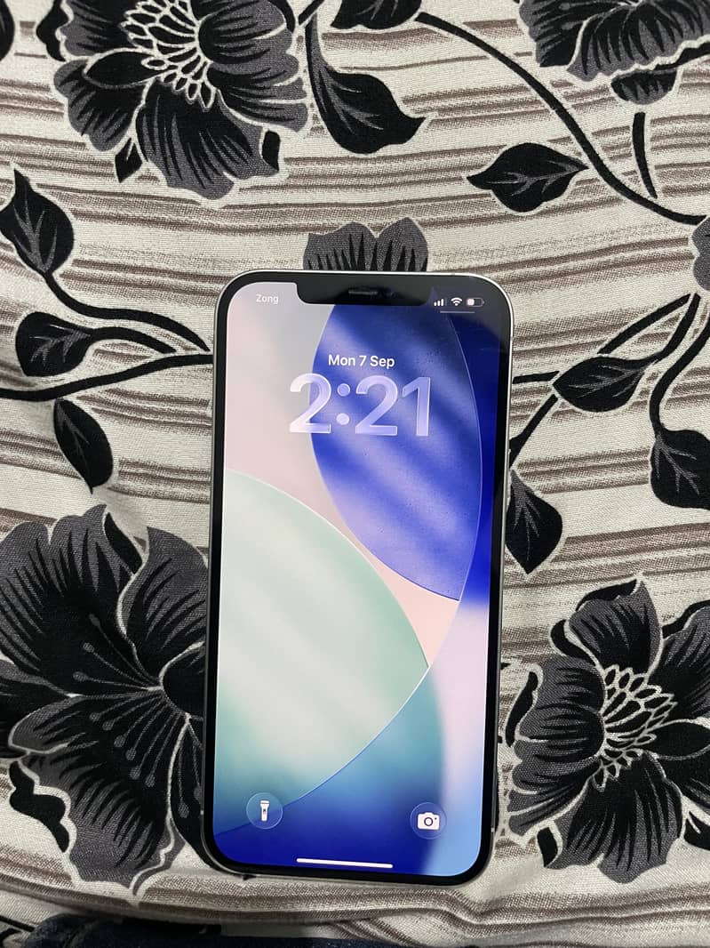 Apple iPhone 12 Pro Max 3