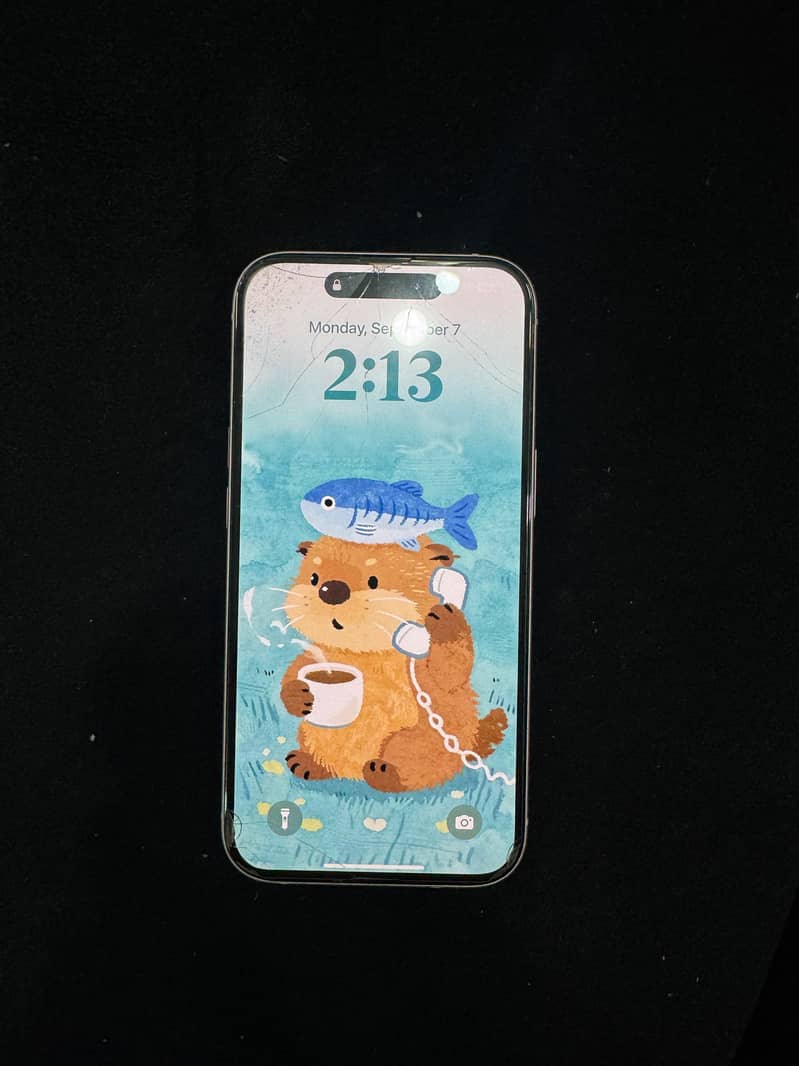 Apple iPhone 15 2