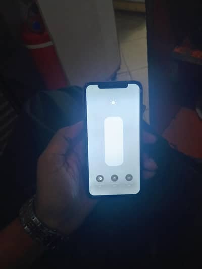 Apple iPhone X