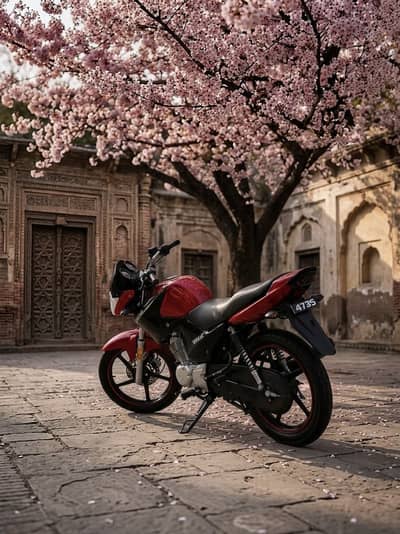 Yamaha ybr 125