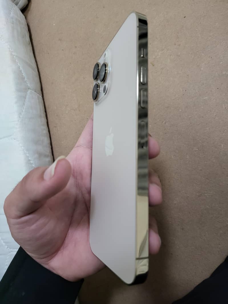 Apple iPhone 13 Pro Max 0
