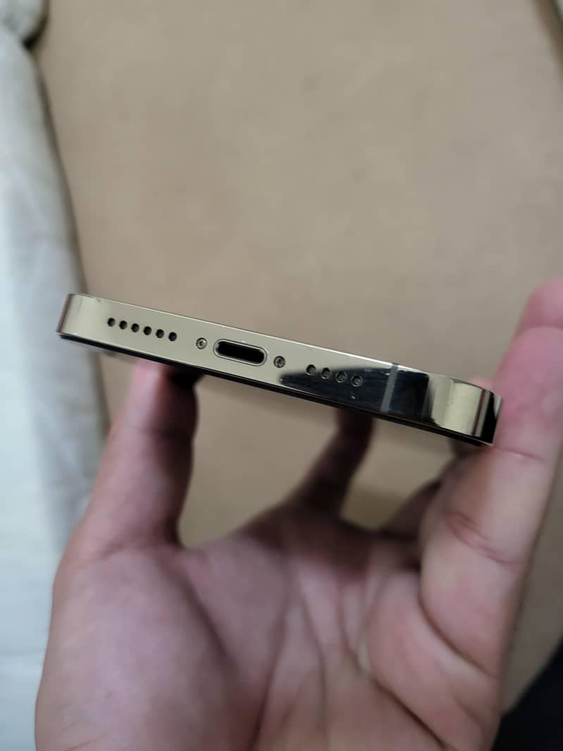 Apple iPhone 13 Pro Max 1