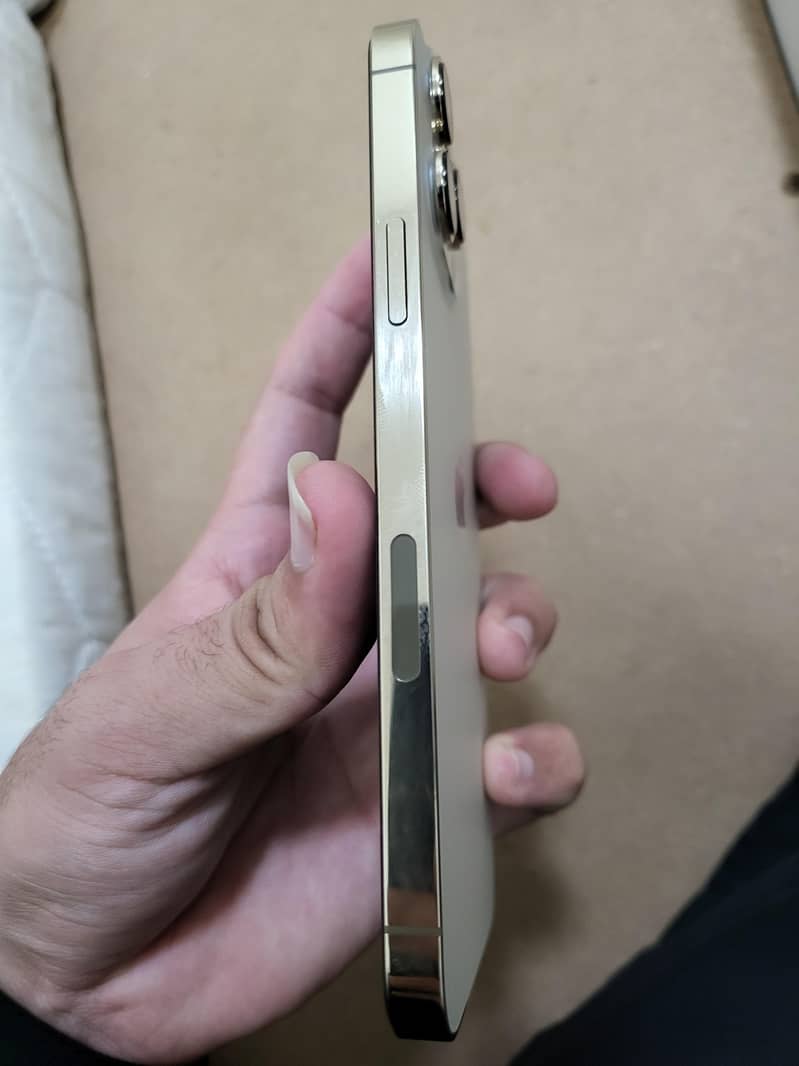 Apple iPhone 13 Pro Max 2