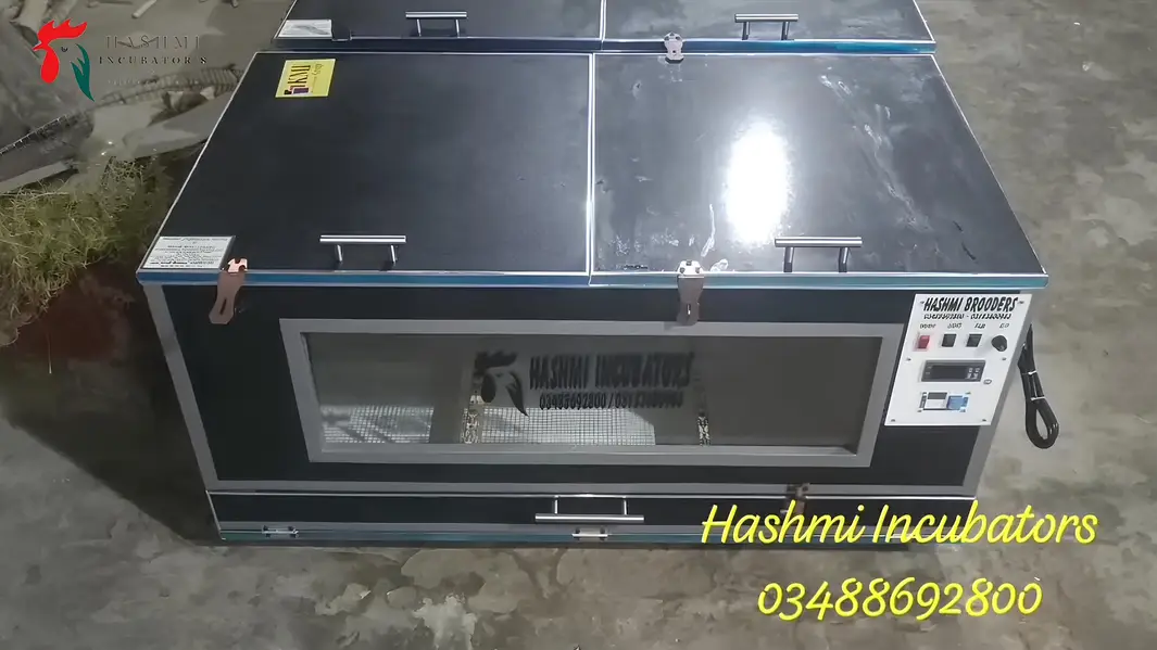 Eggs Incubators & Chicks Brooders Are Available For Sale . — photo 9