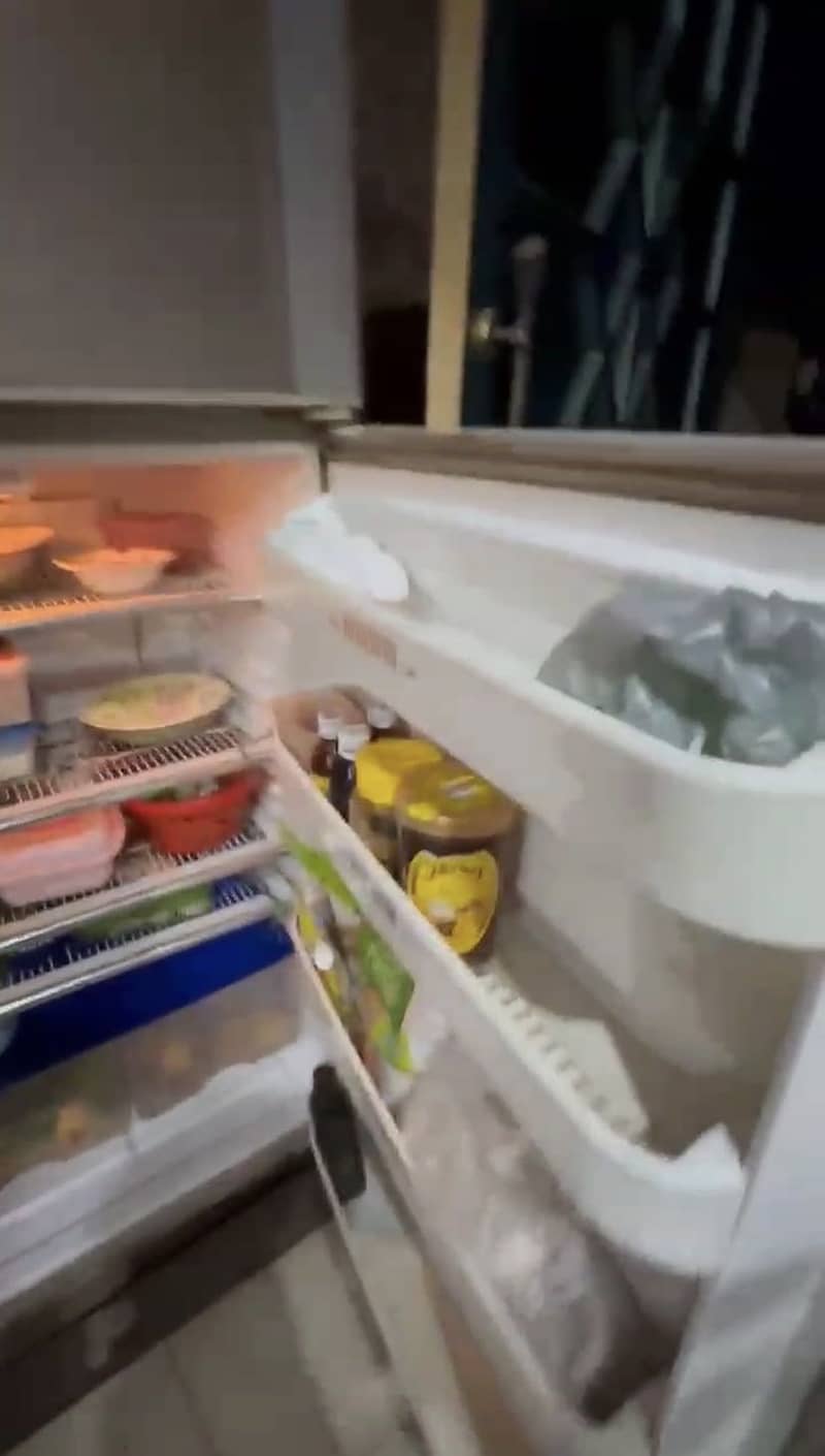 Fridge 2