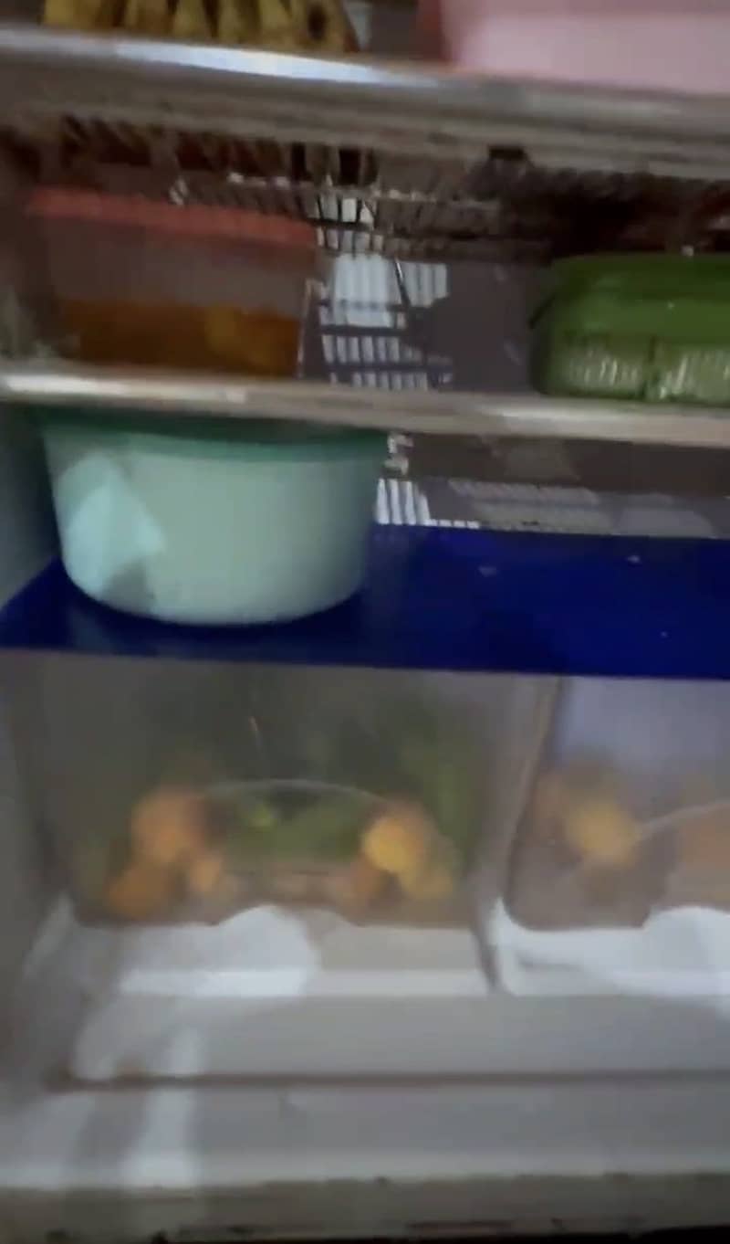 Fridge 4