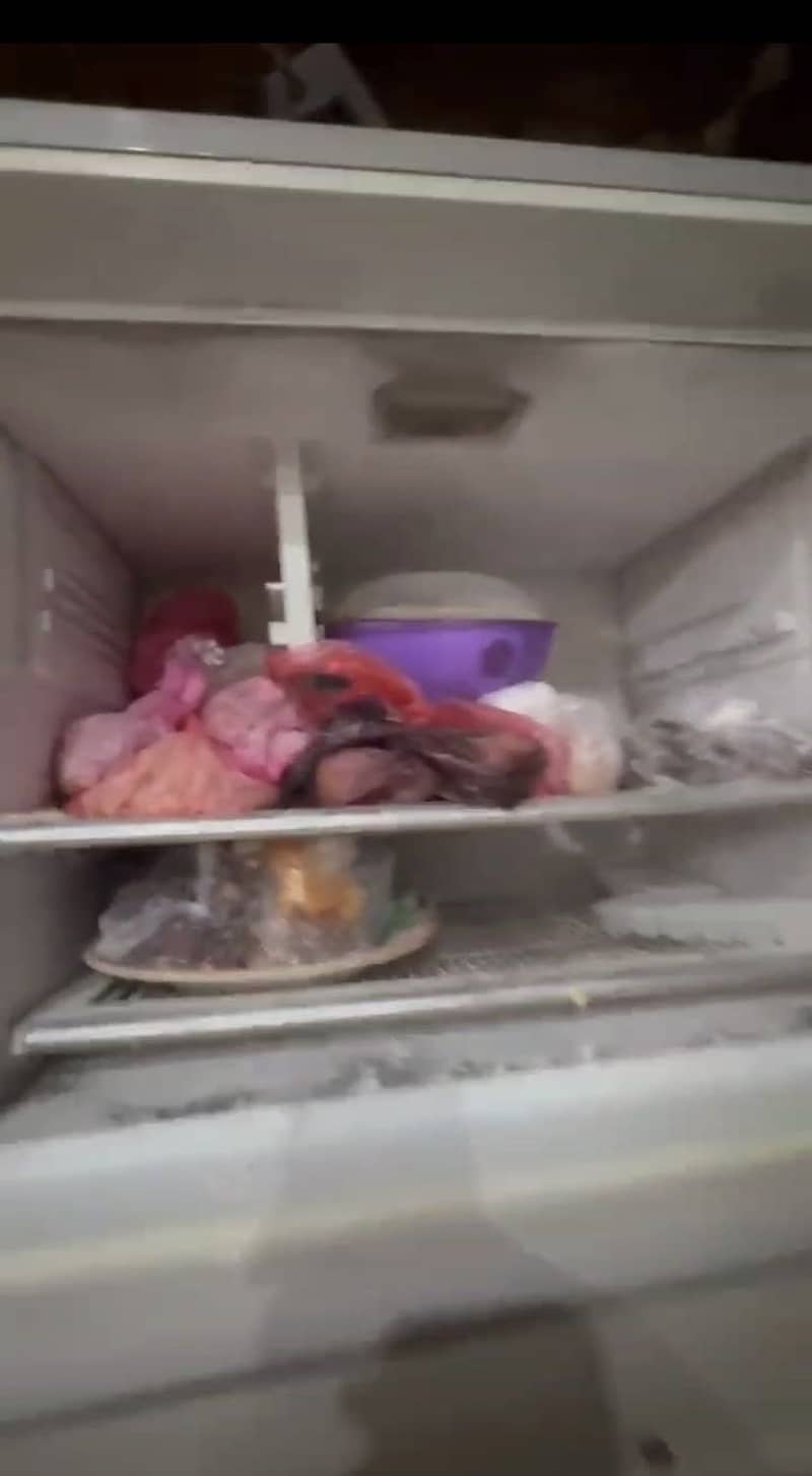 Fridge 5