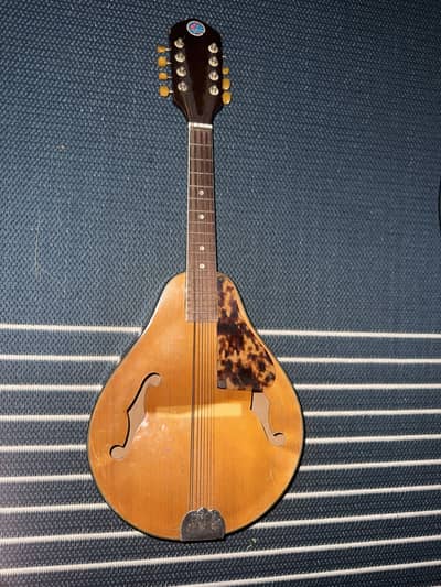 **Vintage Australian Made Mandolin - Project Instrument**