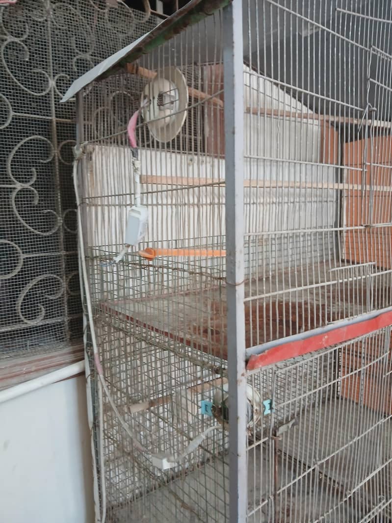 7 portion cage 2