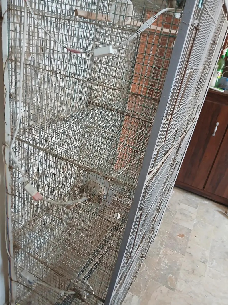 7 portion cage — photo 5