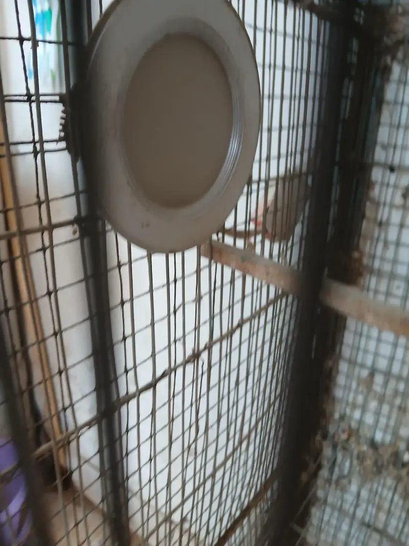 7 portion cage — photo 9