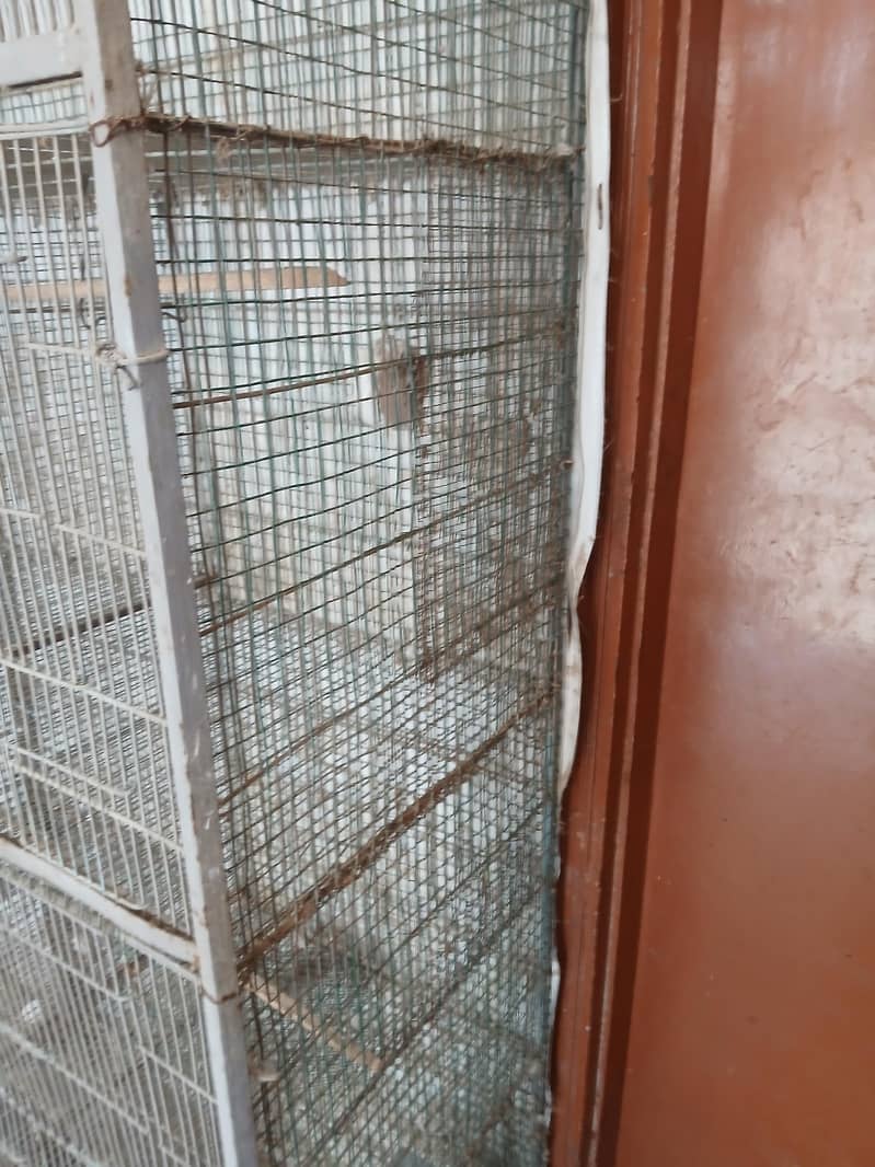 7 portion cage 10