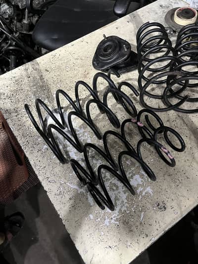 Low ring springs rebirth