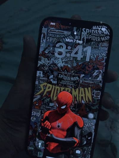 Apple iPhone 12 Pro Max