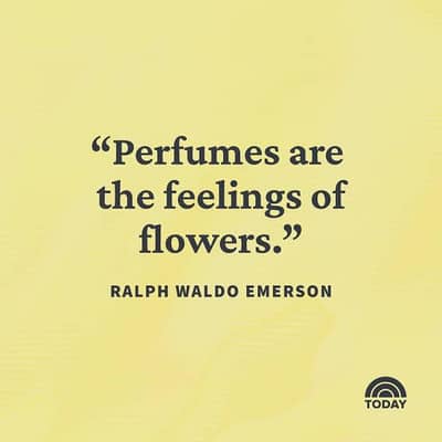 Elite Aroma