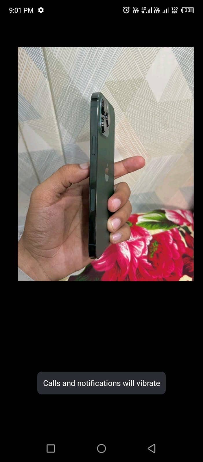 Apple iPhone 13 Pro Max 1