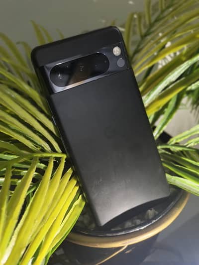 Google Other Model