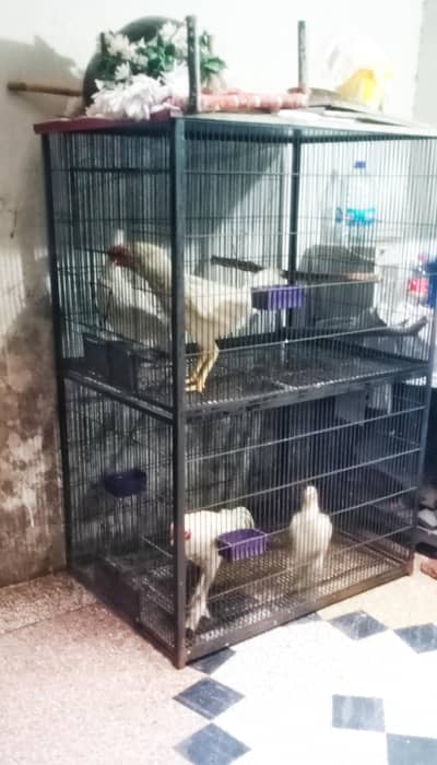 iron hen bird cage 18000 5.6h 3.6+2.6+2.6 doble box 03017104771 cL wts