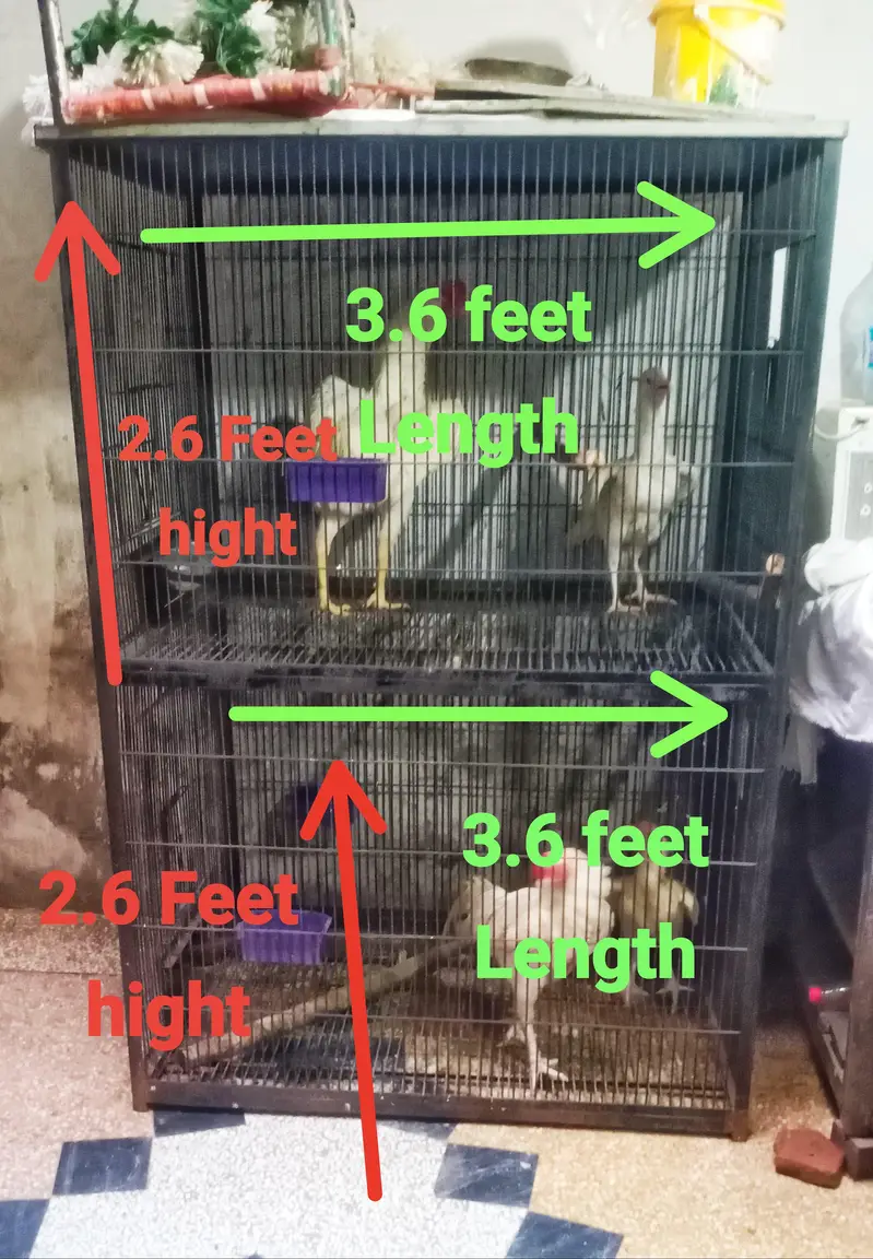 iron bird cage 18000 5.6hight 3.6+2.6+2.6 doble box 301,7104771 cL wts — photo 3