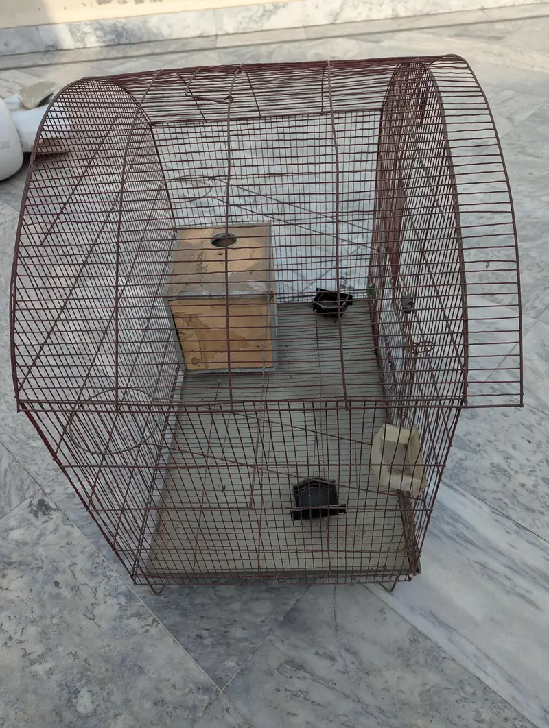 Cage for Birds — photo 2