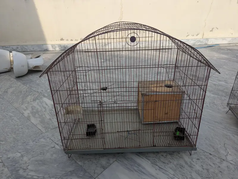 Cage for Birds — photo 3