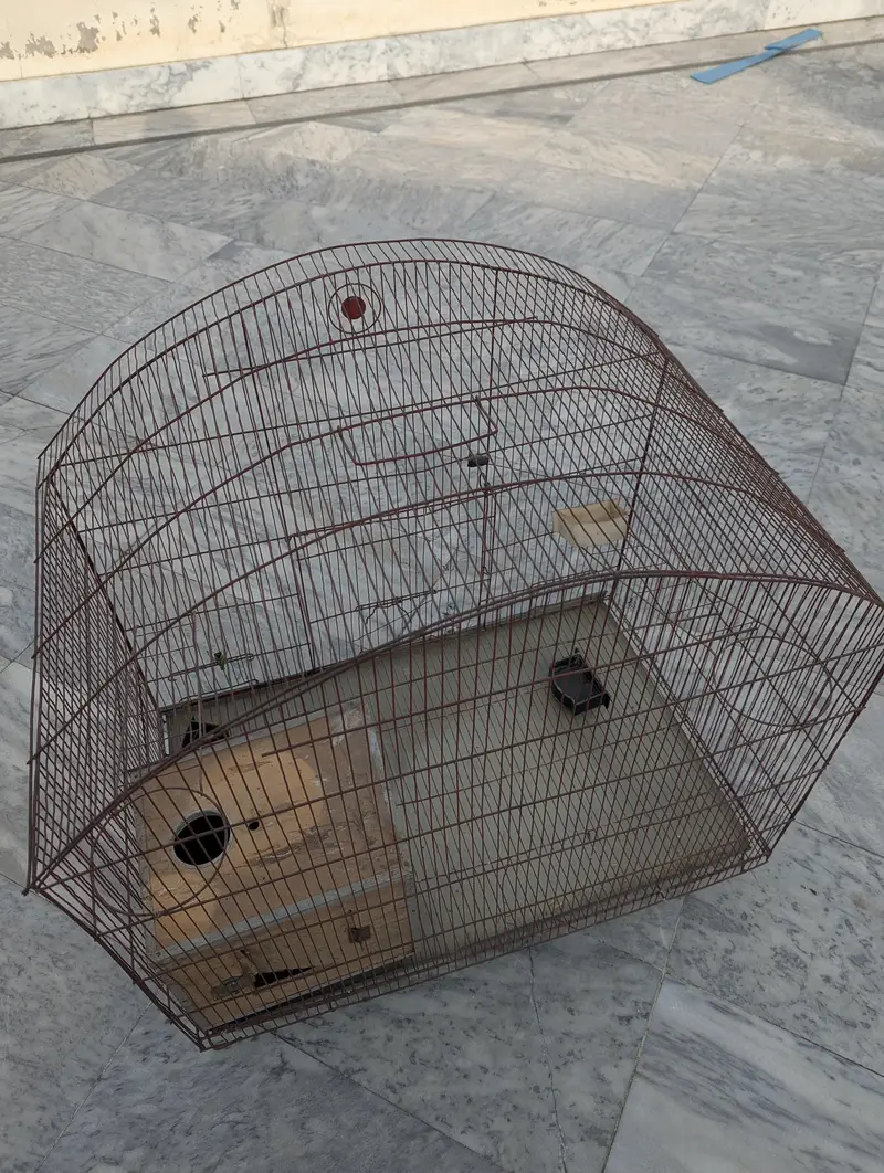 Cage for Birds — photo 4