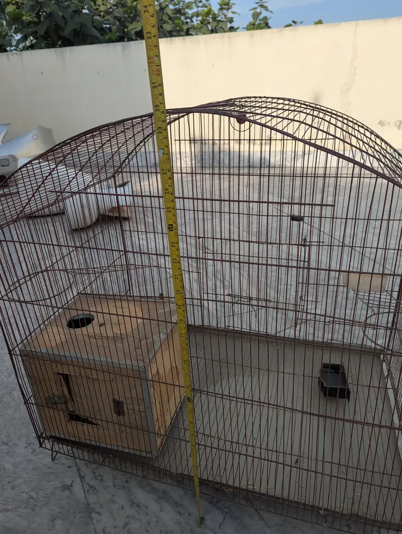 Cage for Birds — photo 5