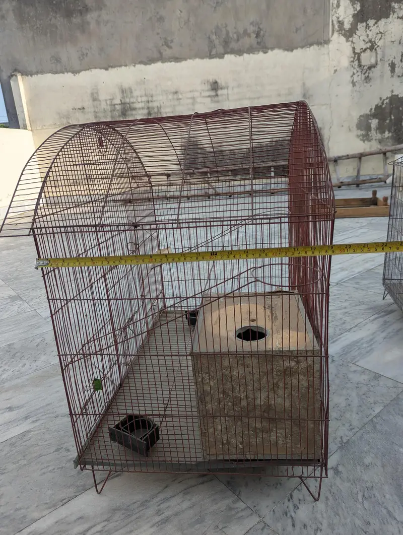 Cage for Birds — photo 6