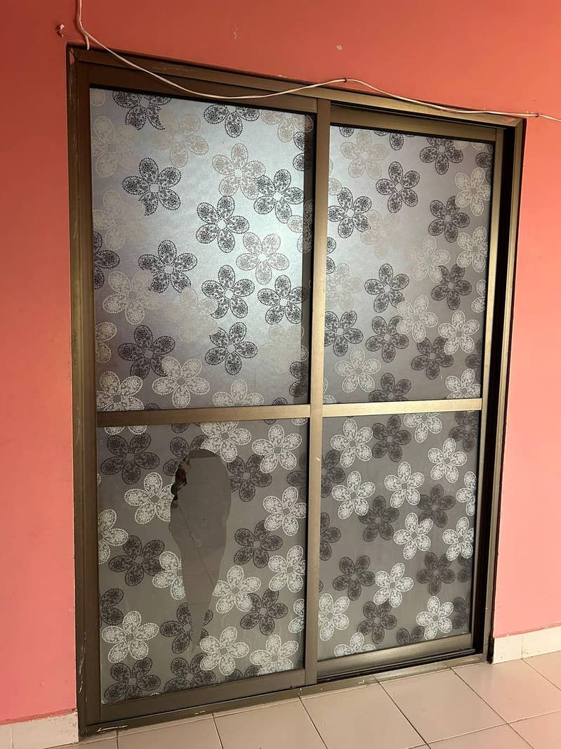 mirror door 1