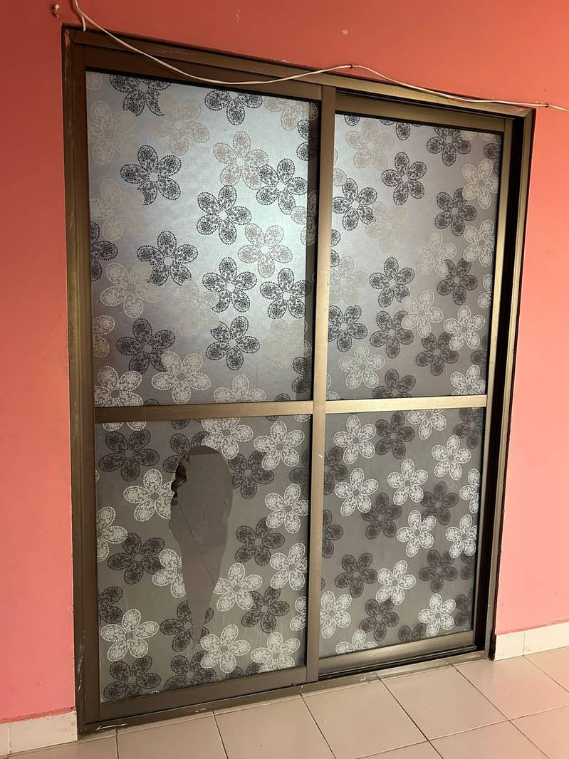 mirror door 2